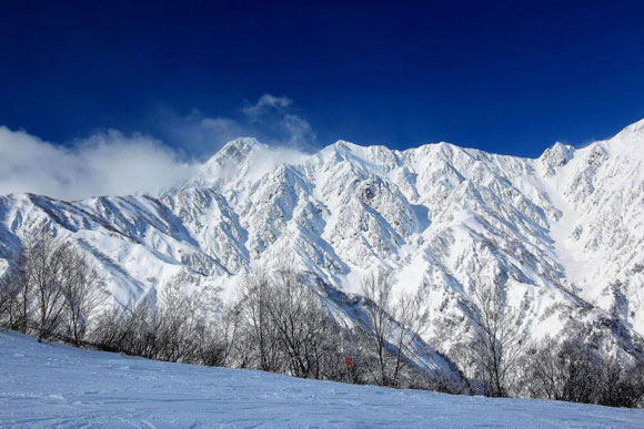 hakuba hakuba